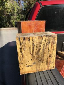 spalted tamarind bowl blank